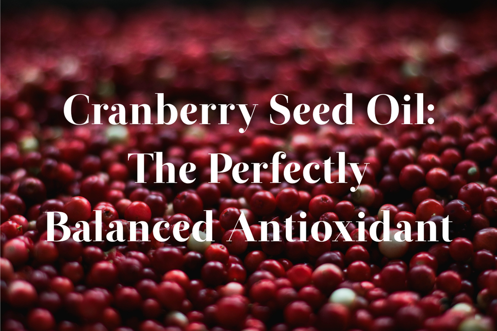 Cranberry Seed Oil: The Perfectly Balanced Antioxidant